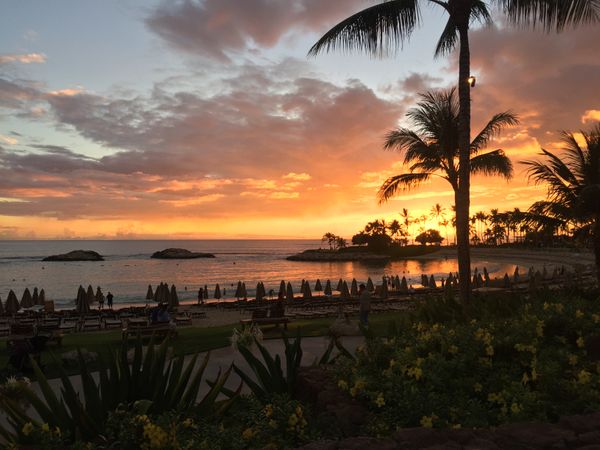 Disney, Aulani And The Power Of Experiential Storytelling